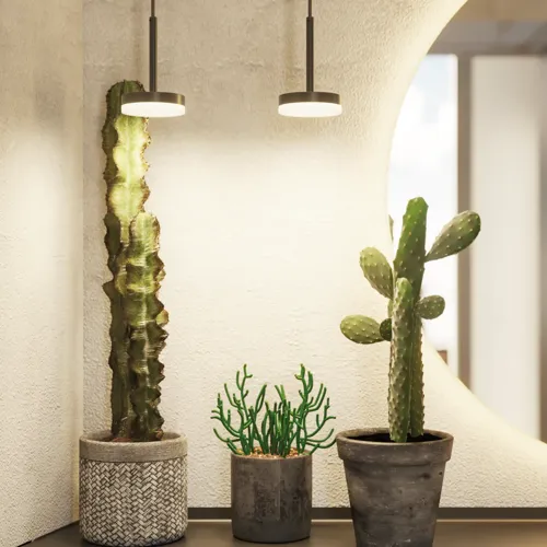 Badkamerinspiratie met een wastafelkast in zwart eikenhout, een elegante ronde spiegel en wastafel, stijlvolle accessoires, cactusplanten en muren van ruwe materialen geven een ruw, industrieel en urban uiterlijk.